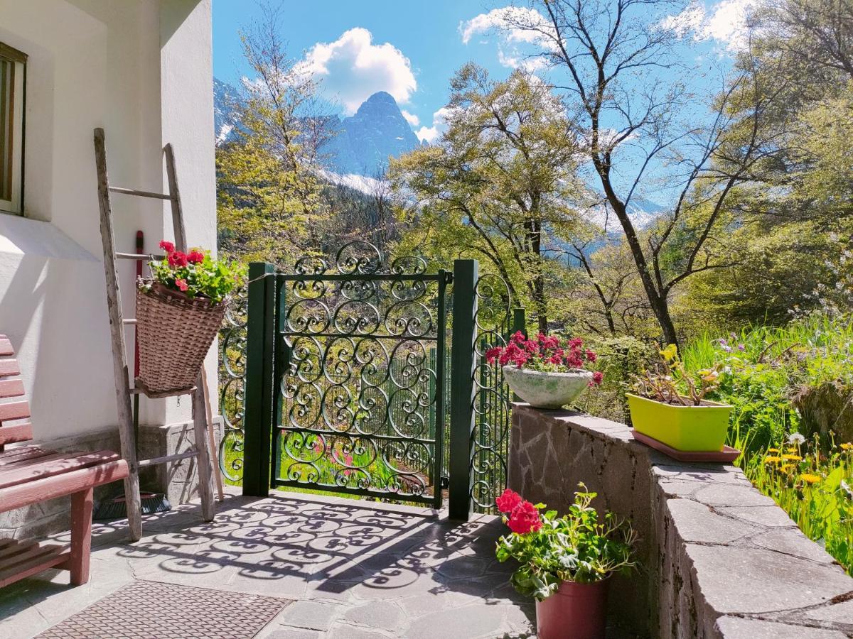Il Terrazzo Sulle Dolomiti Apartment Cibiana ภายนอก รูปภาพ