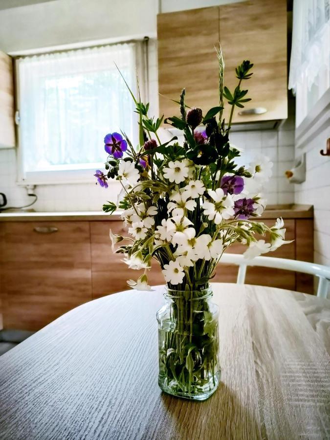 Il Terrazzo Sulle Dolomiti Apartment Cibiana ภายนอก รูปภาพ